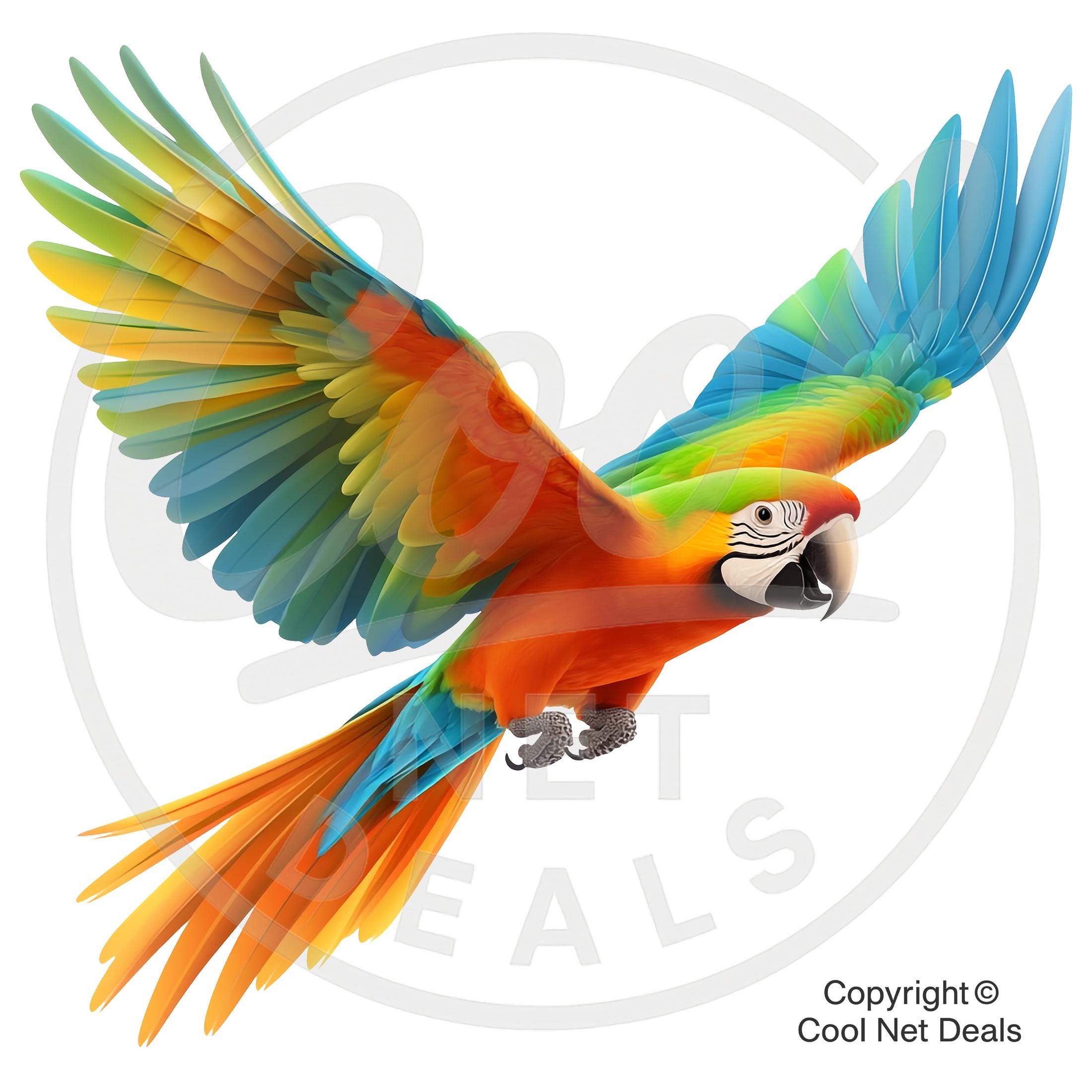 Colorful Parrot Clipart PNG Bundle: Tropical Bird Graphics (commercial ...