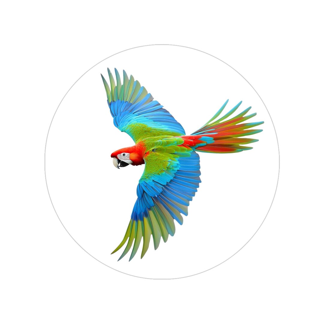 Bird In Flight Sticker Colorful Flying Parrot Vinyl Sticker: Water Resistant Bird Decal - Etsy