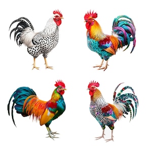 Rooster Stickers, Four Stylized Rooster Sticker Sheet, Chicken Stickers, Animal Decals for Laptops, Water Bottles , Windows, Farmhouse Decor