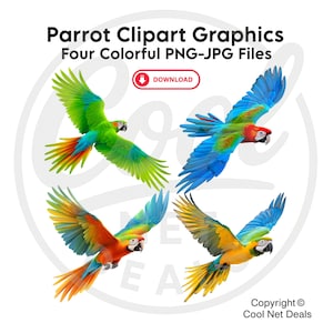 Colorful Parrot Clipart PNG Bundle: Tropical Bird Graphics (Commercial Use)