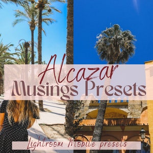 Mobile Lightroom Preset -  Alcazar