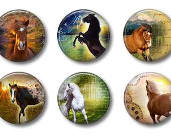 HORSE MAGNETS | Cute Locker Magnets For Teens | Refrigerator Magnets | Cute Whiteboard Magnets | Office Magnets | Magnets For Girls