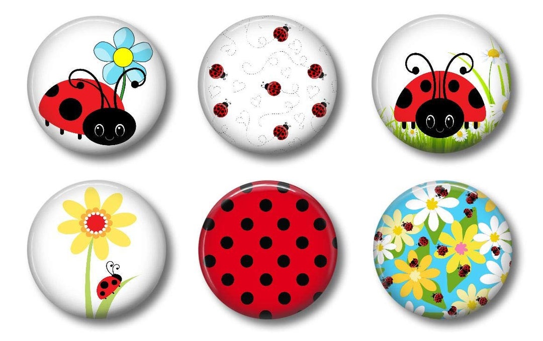 Ladybug Set of Six 1.75 Button Style Locker for Home