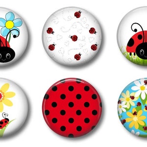 May include: Six round ladybug themed buttons with different designs. The designs include a ladybug with a flower, a ladybug with polka dots, a ladybug with a daisy, a ladybug with a blue flower, a ladybug with a white background and a ladybug with a blue background.