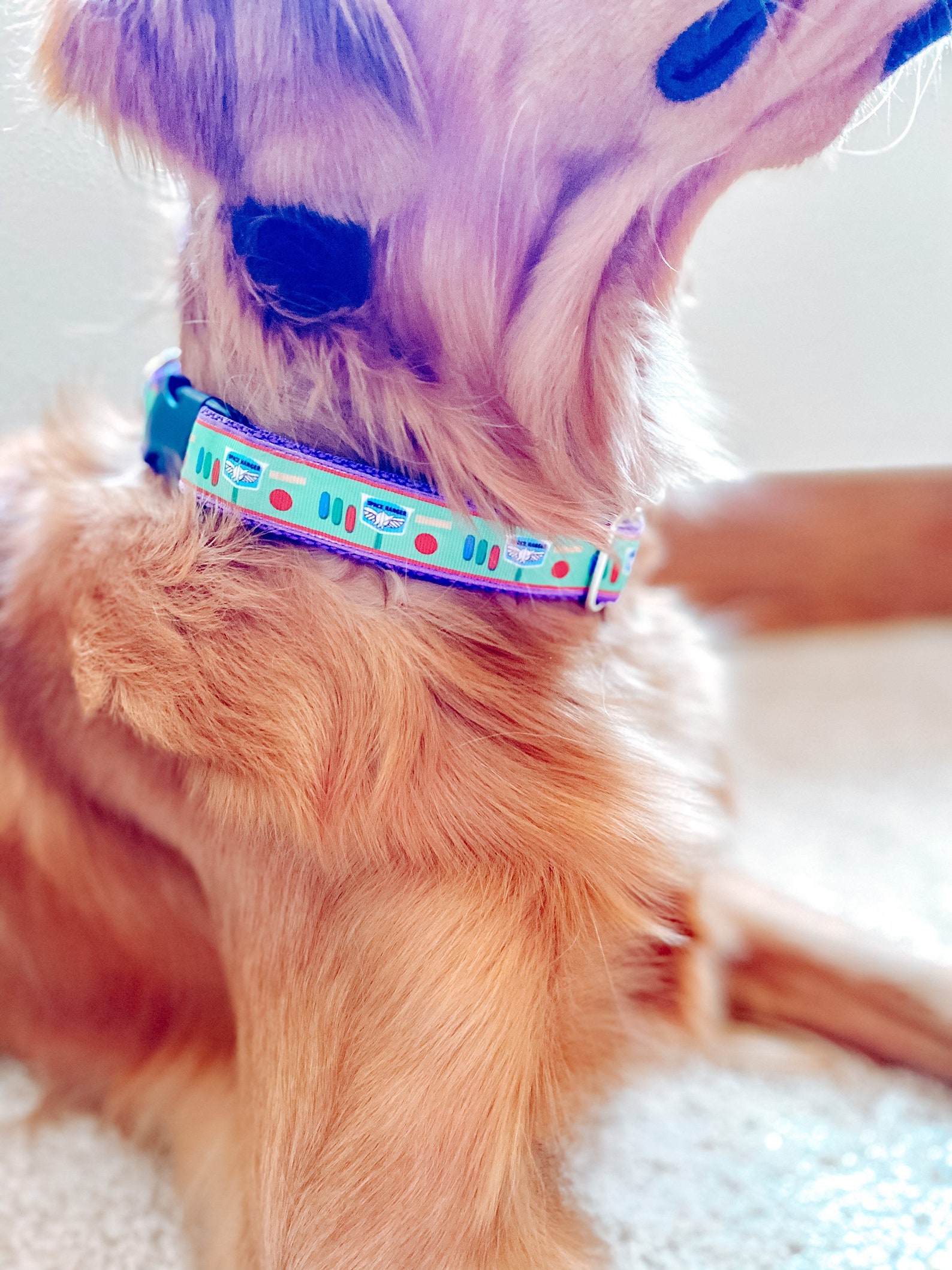 Custom Dog Collar Disney Dog Collar Dog Collar Disney Etsy