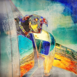 Vintage Airstream Camping Dog Desert digital art