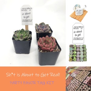 Sh*t Is About To Get Real! Wedding - Party Favor Tag Kit