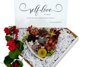 DIY-Gift | Self-Love My Liege, Is Not So Great A Sin As Self-Neglect William Shakespeare Heart Shaped Assorted Succulents Gift Box