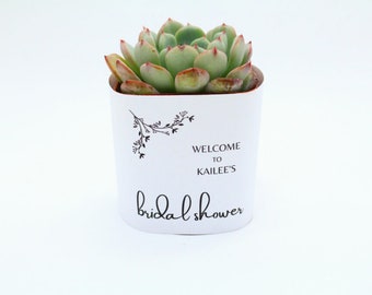 2" Succulent Bridal Shower Wrapper For Favors Or Gifts - Black & White