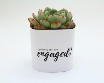 2" Succulent Engagement Wrapper For Favors Or Gifts - Custom