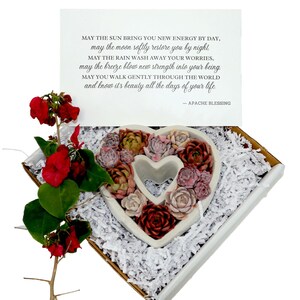 May include: A white heart-shaped planter filled with a variety of succulents. The planter is in a white gift box with white shredded paper. A card with an inspirational quote is visible above the box. The quote reads: "MAY THE SUN BRING YOU NEW ENERGY BY DAY, may the moon softly restore you by night. MAY THE RAIN WASH AWAY YOUR WORRIES, may the breeze blow new strength into your being. MAY YOU WALK GENTLY THROUGH THE WORLD and know it's beauty all the days of your life. - APACHE BLESSING"