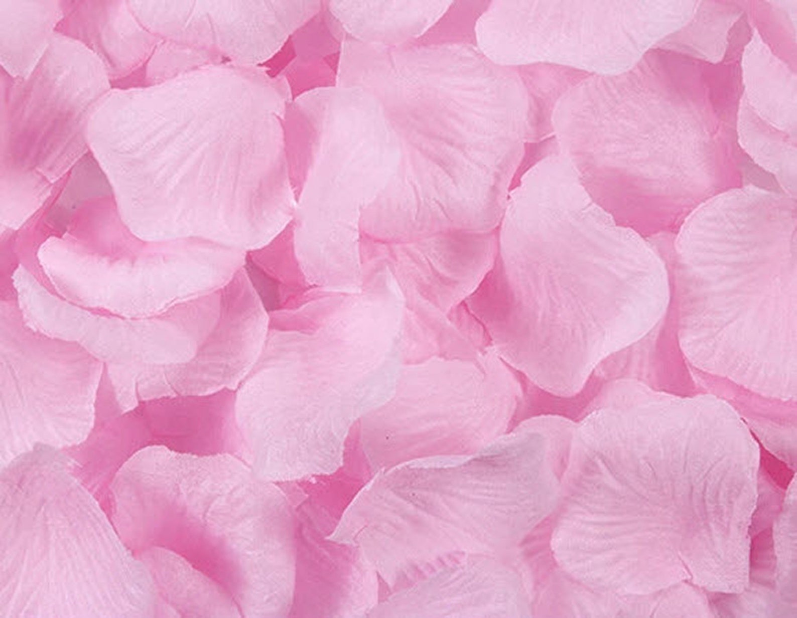 Light Pink Silk Rose Petals Wedding Rose Petals Rose Petal Etsy