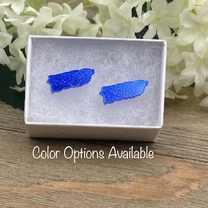Puerto Rico Acrylic Earrings