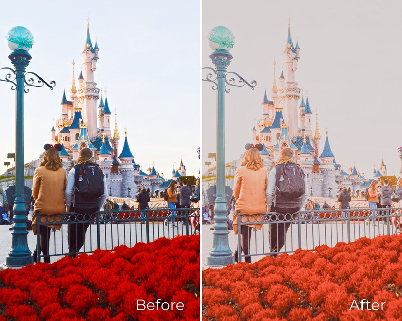 Influencer /& Blogger Presets Pink Presets Disneyland Presets Fantasyland Lightroom Mobile Preset