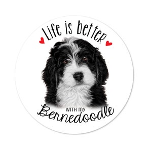 Bernedoodle Sticker - Life is Better with a Bernedoodle