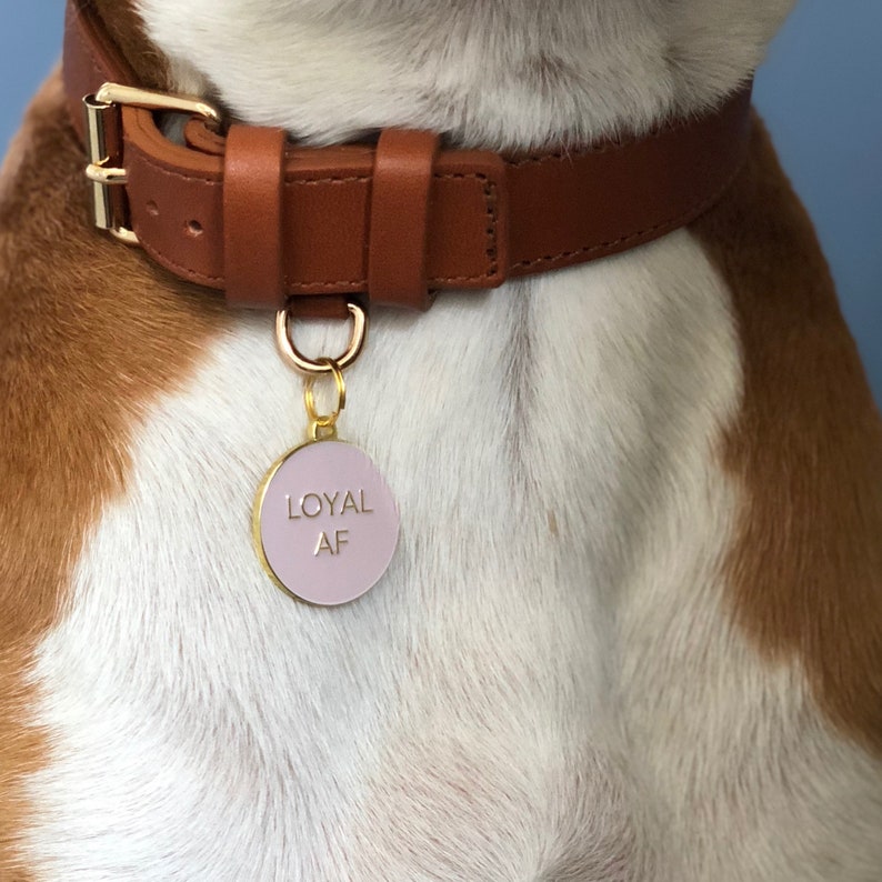 Pet Id Tag Dog Id Tag Dog Tag for Dogs Personalized Tags Dog Id Tag Engraved Unique Dog Id Tag Loyal AF Pink image 3
