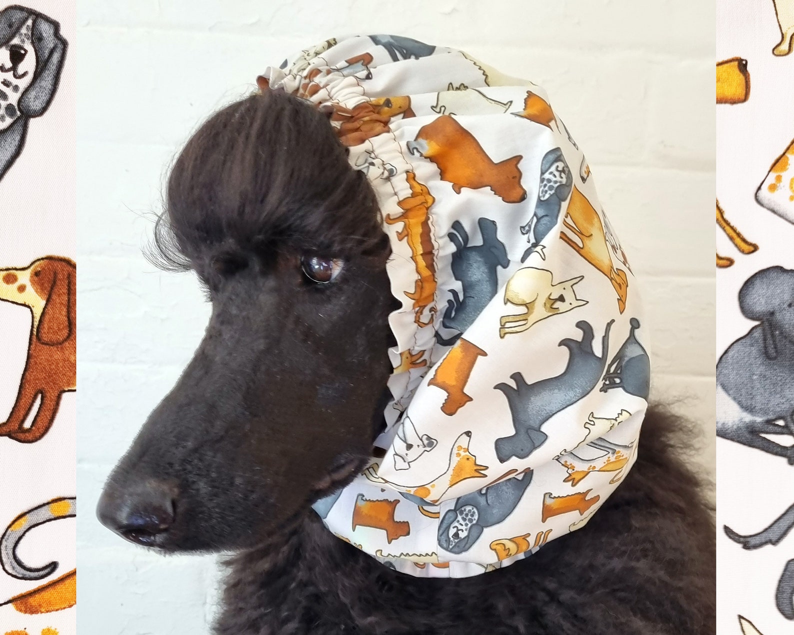 7+ Awesome Poodle Gift Ideas For Australians