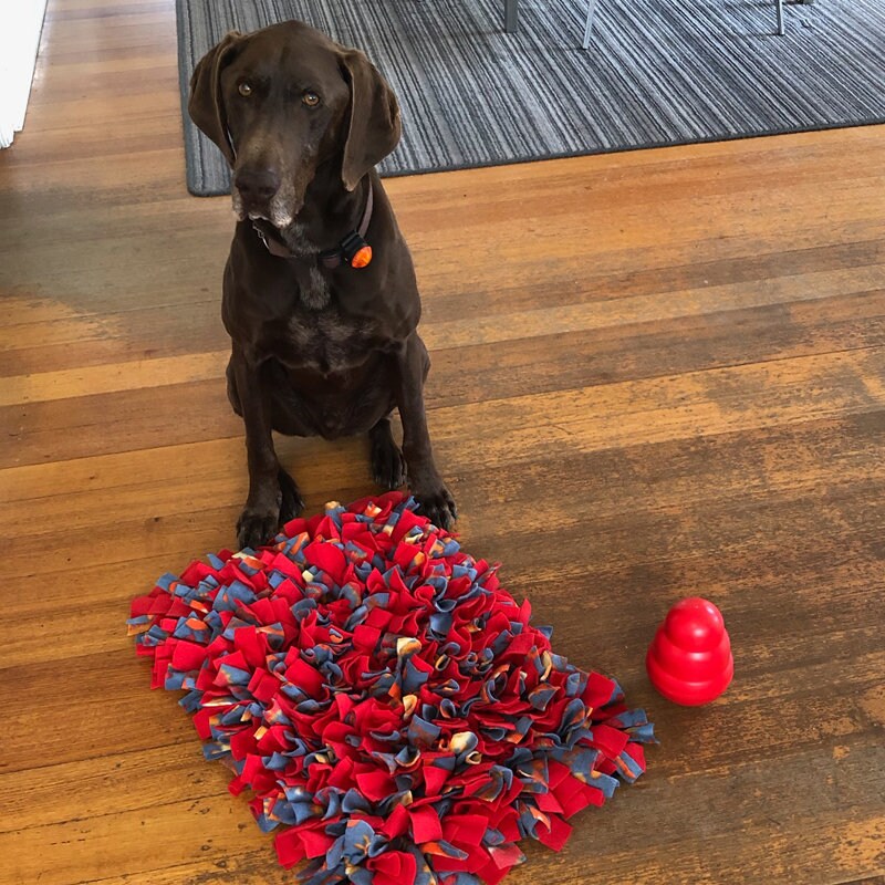 Snuffle Mat Large 60cms X 40cms 100's of Happy Etsy Australia