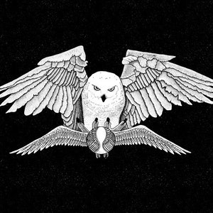 May include: A black and white illustration of an owl with its wings spread wide. The owl is holding a round object in its talons.