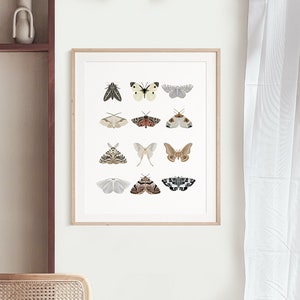 Motten Kunstdruck | Botanisches Poster | Naturdruck | Insekten Kunst | Minimalistische Wandkunst | Boho Wanddekoration | Motten Wandkunst | Natur Wandkunst