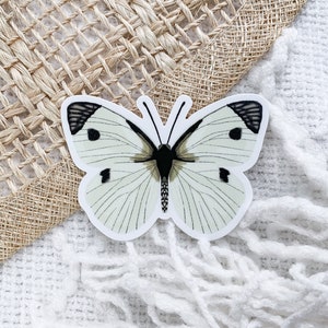 Moth Sticker Waterproof | White Moth Art Sticker | Nature Art Sticker | Butterfly Art | Insect Sticker | Nature Sticker | Bug Sticker