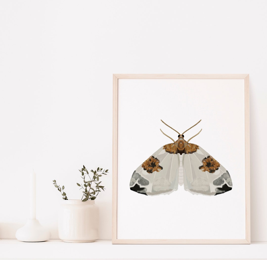 Moth Art Print | Botanical Poster | Boho Modern Neutral | Insect Art ...