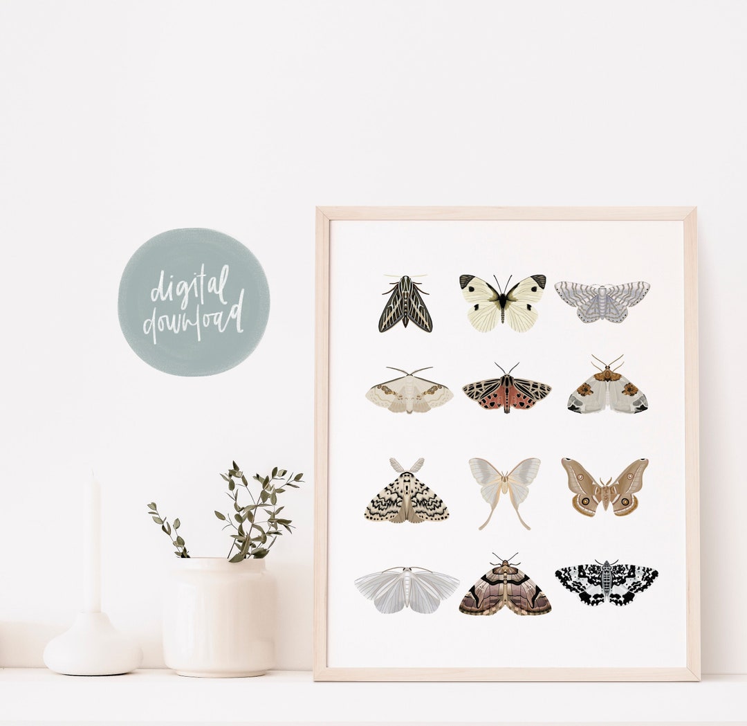 Moth Art Digital Print | Moth Printable Art | Minimalist Wall Art ...