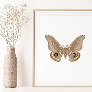 Moth Art Print | Botanische Poster | Boho Modern Neutraal | Insect Art | Butterfly Kunst | Butterfly Wall Art | Moth Wall Art | Boho Woondecoratie