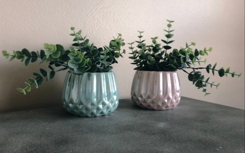 Ceramic Potted Faux Eucalyptus