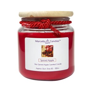 Spiced Apple Candle | Fall Candle | Autumn Decor | 16oz Soy Candle | Long Lasting Scented Candles | Fall Scents | Hand poured Autumn Candle