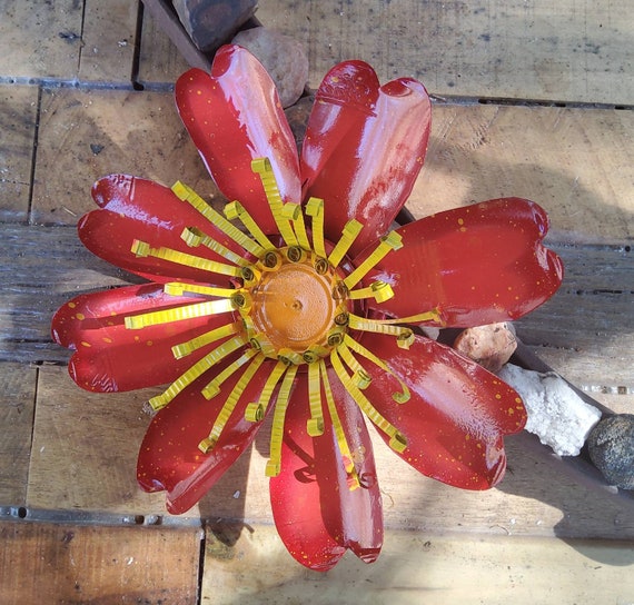 The Rainbow Collection. A Large, Bright and Colourful Set of 7