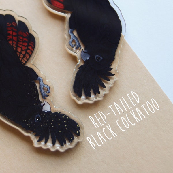 Dangling Red-Tailed Black Cockatoo Buddy Acrylic Charm