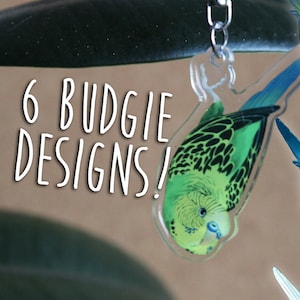 Dangling Budgie Parakeet Buddy Acrylic Charm