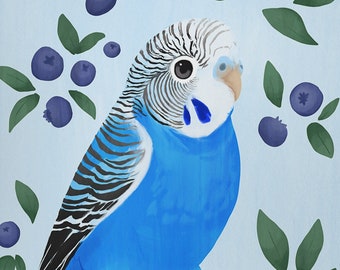 May include: A blue and white parakeet with a long tail sits on a branch with blue berries. The parakeet is surrounded by green leaves and blue berries.