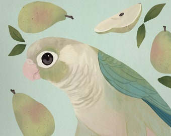 May include: A green and gray Quaker parrot with a pink beak sits on a light blue background with green leaves and pear illustrations.