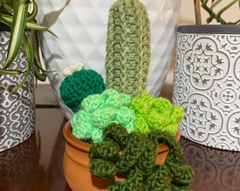 Terracotta Planter Crochet Succulent Garden