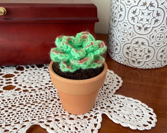 Succulent Friend - crochet succulent in a terracotta pot