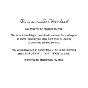 May include: White background with text in a handwritten style font. The text reads "This is an instant download" and details about the digital download, including file sizes: 5"x7", 8"x10", 11"x14", 16"x20", and A3.