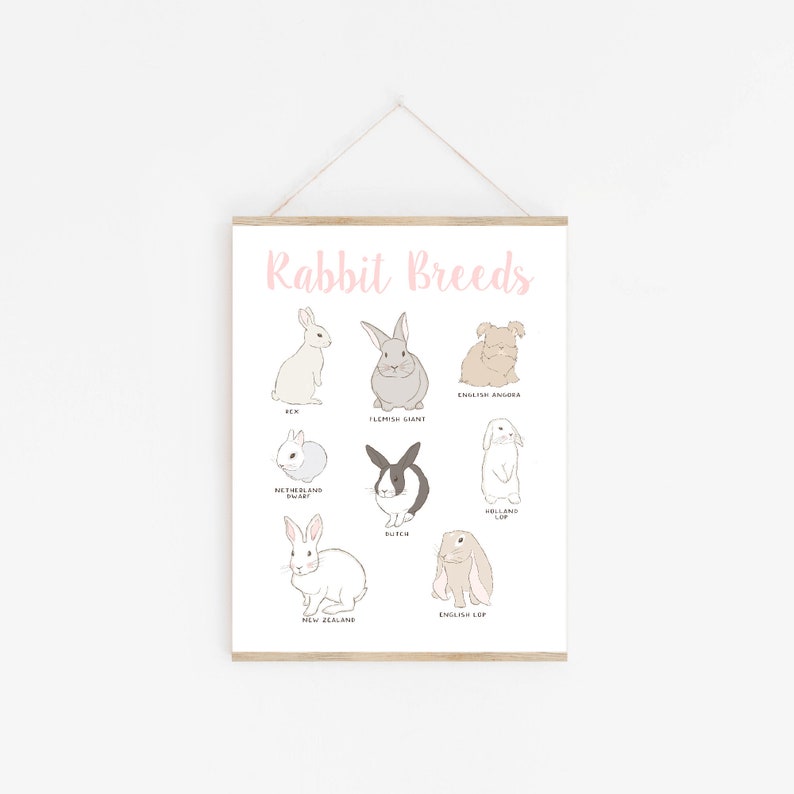 Rabbits Printable Types Of Rabbits Chart Easter Print Etsy UK rabbits-printable-types-of-rabbits-chart-easter-print-etsy-uk