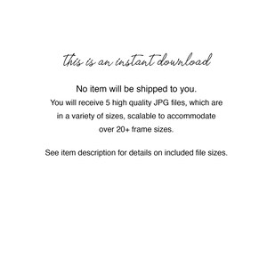 May include: Text that reads "This is an instant download. No item will be shipped to you. You will receive 5 high quality JPG files, which are in a variety of sizes, scalable to accommodate over 20+ frame sizes. See item description for details on included file sizes."