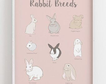 Rabbit Poster Instant Download Printable Wall Decor Child | Etsy