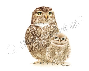 Little Owl and Owlet Art Print