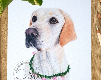 Custom Pet Portrait in Coloured Pencil | Memorial Pet Portrait | Dog or Cat Parent Gift | Sympathy Gift | Hand-Drawn Pet Art