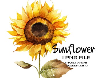 Flower PNG Clipart, Beautiful Watercolor Sunflower