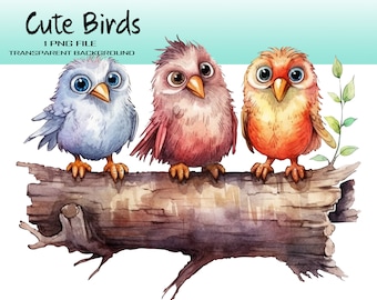 Watercolor Bird Clipart - Playful Chibi Birds  Perched on an Old Tree Branch PNG File