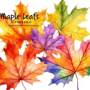 Autumn PNG Clipart Maple Leaf Set of 5 Images