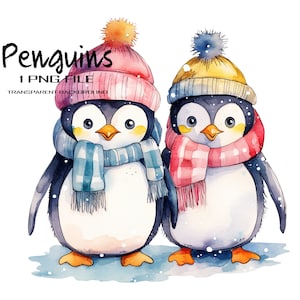 Clipart aquarelle de pingouins, fichier de téléchargement instantané d&#39;hiver PNG