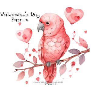 Valentine&#39;s Day Parrot Clipart with Transparent Background