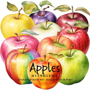 Conjunto de clipart PNG aquarela de maçã, colheita de outono
