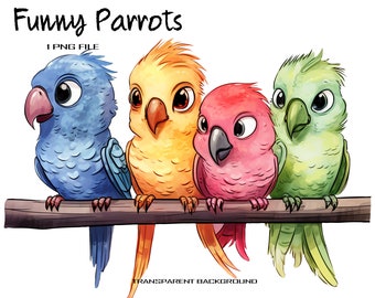 Cute Parrot Clipart with Transparent Background